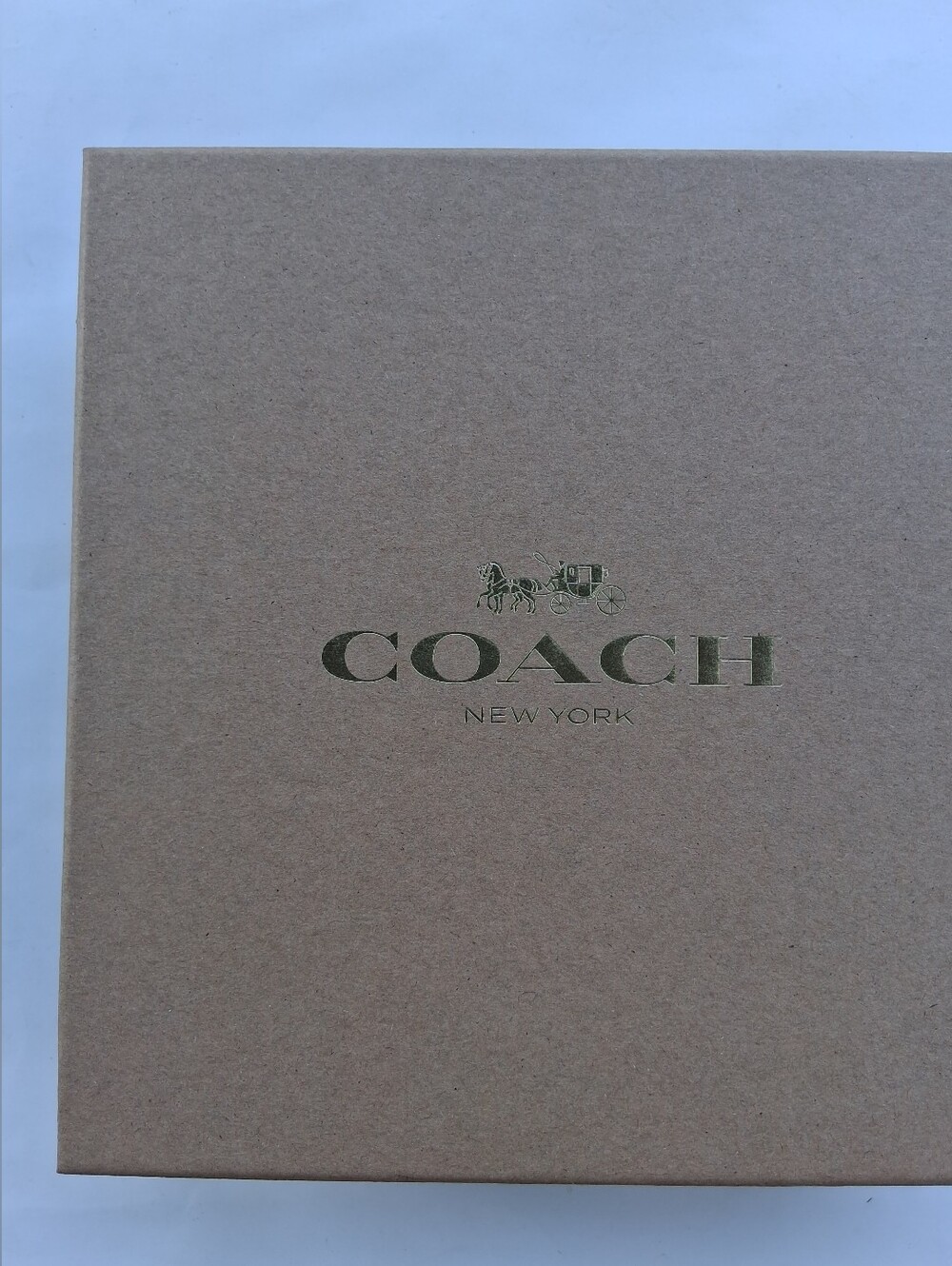 Coach Dog Collar - Picture 12 of 16
